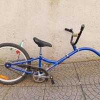 Cammellino Trailer Bike
