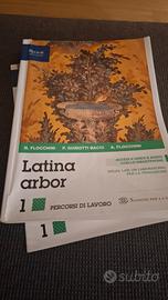 Latina arbor 1