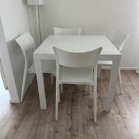 Tavolo + 6 sedie