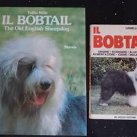 libri cane BOBTAIL