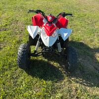 Quad polaris outlaw 90cc