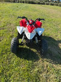 Quad polaris outlaw 90cc