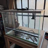 Terrario rettili Giungla 3 in Vetro