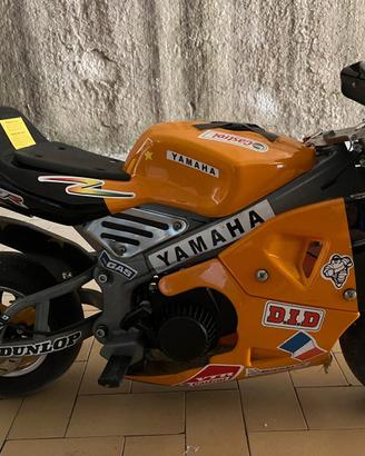 Yamaha Altro modello