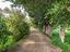 Immagine 25