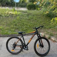Bici Momo Design