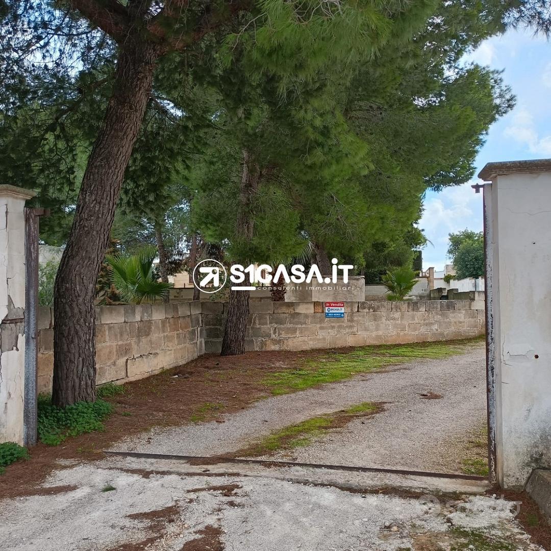 Terreno agricolo con deposito a Galatone - Vista 2