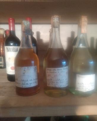 Grappa Levi