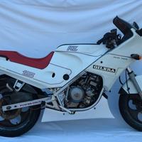 Gilera KZ 125 - 1986