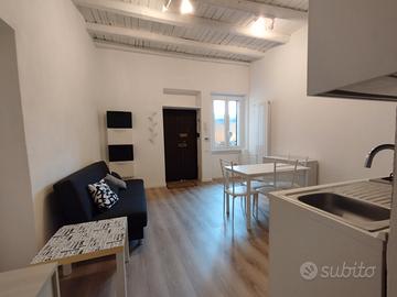 Bilocale ristrutturato zona san siro