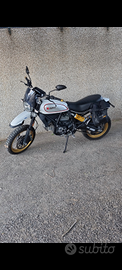 Ducati scrambler desert sled