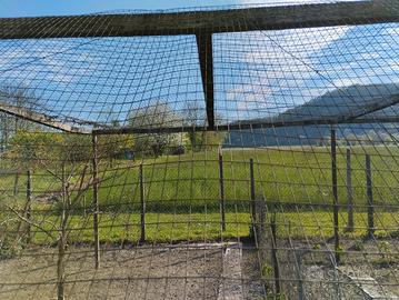 rete acciaio elettrosaldata 