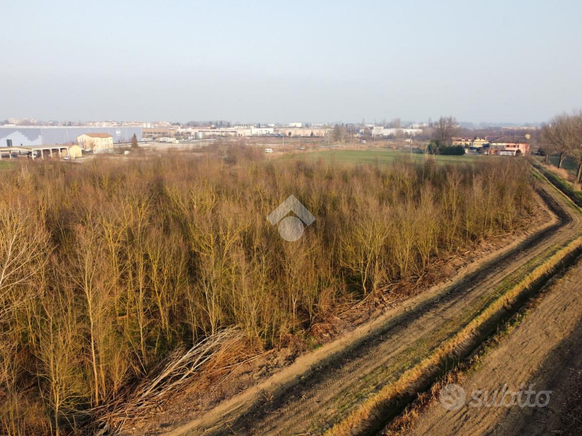 TER. AGRICOLO A BAGNOLO IN PIANO - Vista 6