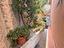 Immagine 8