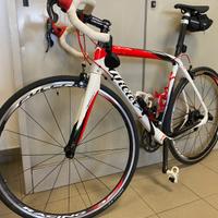 Wilier Triestina