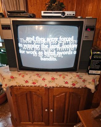 TV Televisione Seleco anni 80 Vintage