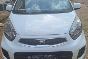 kia picanto collection 