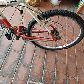 montanbike