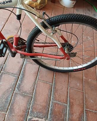 montanbike