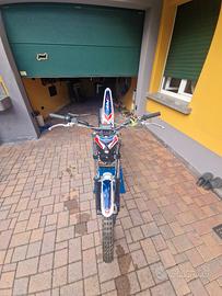 trial montesa cota 260 2017