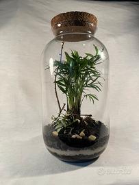 Terrarium