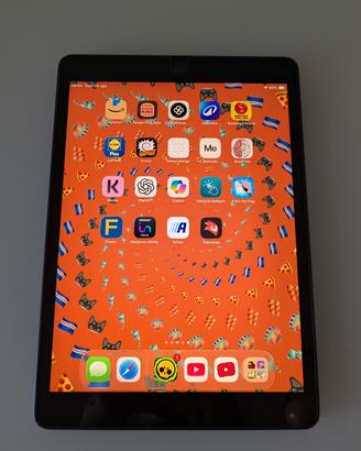 Apple iPad 8th 10.2 Wi-Fi 128 GB usato