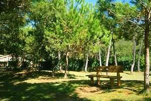 Appartamento Villaggio Boboba - Marina di Pisa