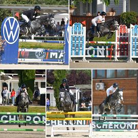 Pony super competitivo