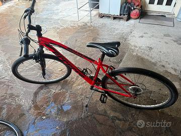 Bici muntain bike