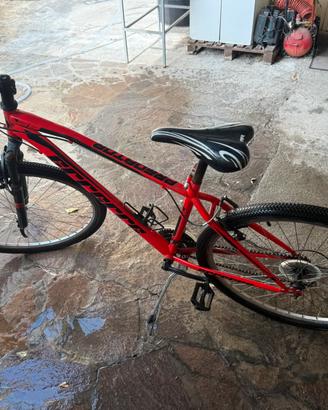 Bici muntain bike