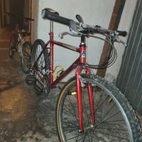 mtb colnago 26