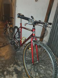 mtb colnago 26