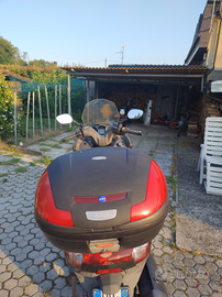 Scooter tenuto molto bene