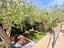 Immagine 24