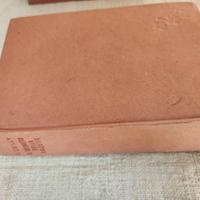 M.Delly - il segreto della Luzette