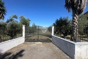 TER. AGRICOLO A FRASCATI