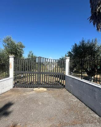 TER. AGRICOLO A FRASCATI