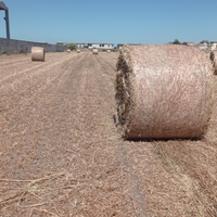 Balloni di fieno di avena e loietto