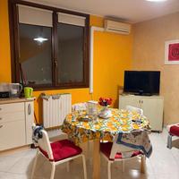 Camera singola già arredata - letto matrimoniale