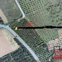 Terreno Contrada Piano del Fico (Rif.1103)