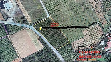 Terreno Contrada Piano del Fico (Rif.1103)