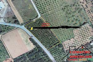 Terreno Contrada Piano del Fico (Rif.1103)