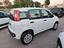 Immagine 4