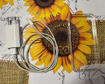 Carica batteria + cover trasparente iPhone Se
