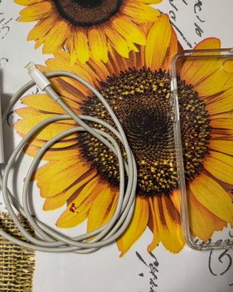 Carica batteria + cover trasparente iPhone Se