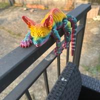 Stanpa personalizzata