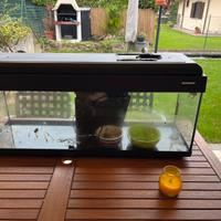 Acquario 100 litri