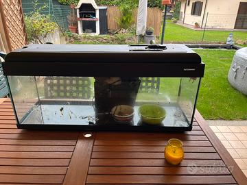 Acquario 100 litri