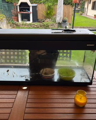Acquario 100 litri