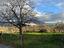 Immagine 15